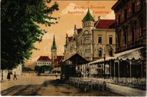 Brassó, Kronstadt, Brasov; Rezső körút / Rudolfsring / street view (fa)
