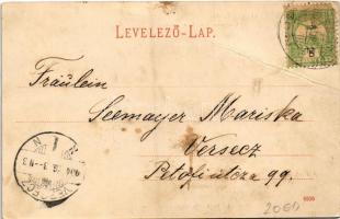 1904 Herkulesfürdő, Baile Herculane; Theresienhof / Teréz udvar. R. Krizsány kiadása / street view, ...