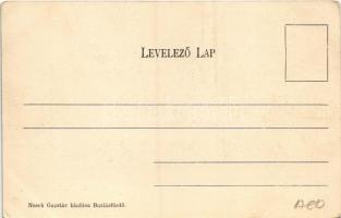 Buziás-fürdő, Baile Buzias; Park részlet. Nosek Gusztáv kiadása / spa, park (EK)