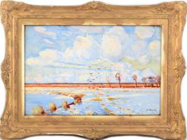Szlányi Lajos (1869-1949): Felhős táj. Akvarell, papír, jelzett. Dekoratív, üvegezett, sérült fakeretben. 30x46 cm