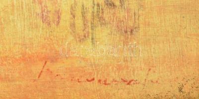 Olvashatatlan (Bornemisza?) jelzéssel: Táj. Olaj, karton. Dekoratív fakeretben. 66x49 cm