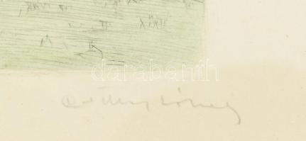 Csillag József (1894-1977): Pásztorok. Színezett rézkarc, papír. Jelzett. 19,5x25,5 cm. Üvegezett, d...