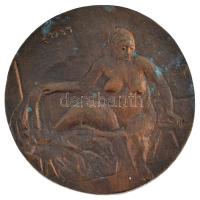 Soltra Elemér (1922-2013) 1985. "Domanovszky Endre emlékére" kétoldalas öntött bronz plake...