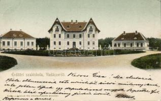 Temesvár, hunting area and school