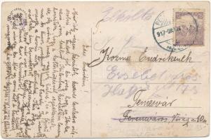 1917 Petrozsény, Petrosani; vasútállomás. Vasúti levelezőlapárusítás 1139. / railway station (fa)