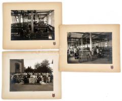 1925 Mohács, szövőgyár, 3 db kartonra kasírozott fotó Weidlich Ede fényképész mohácsi műterméből, 17...
