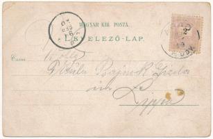 1899 (Vorläufer) Arad, Andrássy tér, Maros part, Líceum, városház, színház / square, Mures riverside...