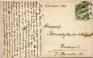 Nagyvárad, Oradea; 4 óra 25 perci pesti gyorsvonat, gőzmozdony, vonat, vasúti töltés / locomotive, t...