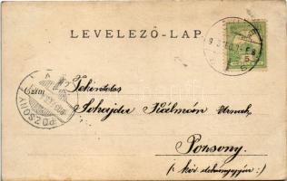 1903 Fiume, Rijeka; kikötő, hajó / port, ship. Soh photo (EB)