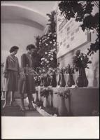 1961 Rózsakiállítás a Kertészeti Kutató Intézetben, sajtófotó, a hátoldalon feliratozott, pecséttel jelzett (MTI Foto - Magyar Hírek), 18x13 cm