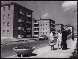 1962 Lakótelepi utcakép, sajtófotó, a hátoldalon feliratozott, pecséttel jelzett (Magyar Hírek - Novotta Ferenc felvétele), 17,5x13 cm