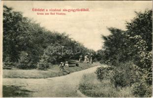1907 Vízakna sós-gyógyfürdő, Salzburg, Ocna Sibiului; park. Takács Jenő kiadása