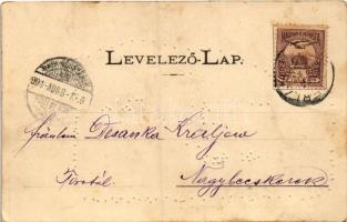 1901 Stájerlak, Steierlak, Stájerlakanina, Steierdorf, Anina; Steierlaker Sommerfrische / nyaralótel...