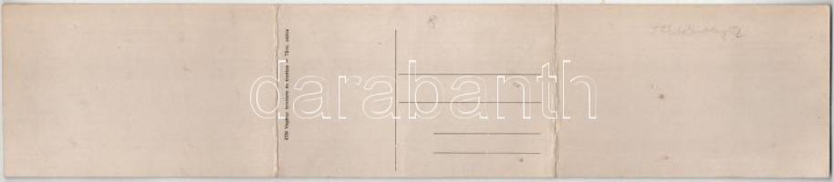 Felsőbánya, Baia Sprie; Bódi tó. 3-részes kinyitható panorámalap, Vagányi felvétele és kiadása / lak...