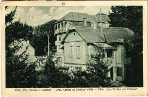 Szovátafürdő, Baile Sovata; Pax, Caritas és Cristina villák. Schnitzer Artur kiadása Nr. 226. 1929. / villas (EK)