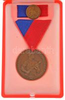 1964. Munkásőr Emlékérem bronz kitüntetés mellszalagon, miniatűrrel szalagsávon, sérült tokban T:1-,2