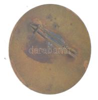 ~1950-1960."Kiváló Egészségügyi Nevelő Munkáért" aranyozott, zománcozott fém jelvény T:2