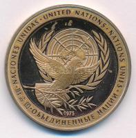 1975. Egyesült Nemzetek (ENSZ) / Béke kétoldalas fém emlékérem öt nyelven (39mm) T:1-,2 (eredetileg PP) 1975. United Nations (UN) / Peace two-sided metal medallion in five languages (39mm) C:AU,XF (originally PP)