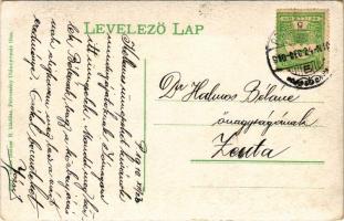 1910 Petrozsény, Petrosani; határhíd Magyarország és Románia között, határőrök. Steiner R. kiadása /...