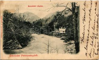 1901 Petrozsény, Petrosani; Szurduki részlet. Joanovits és Sternád kiadása / Pasul Surduc / Surduc gorge, mountain pass (vágott / cut)