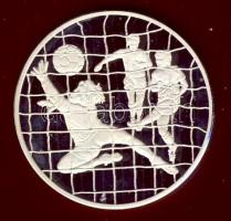 Spanyolország 1982. "Labdarúgó VB" Ag 15g T:PP