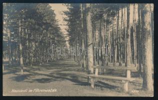 Ausztria 1936
