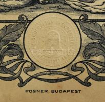1927 Miskolci Takarékpénztár részvénye 20 pengőről, dekoratív, szecessziós illusztrációval. Bp., Pos...