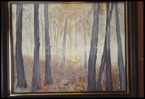 Festmények, tájképek negatívokon, össz. 30 kocka