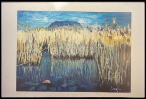 Festmények, tájképek negatívokon, össz. 30 kocka