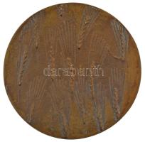 DN "Községért emlékérem" egyoldalas, öntött bronz emlékérem (84mm) T:1-