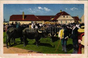 1917 Nagyszeben, Hermannstadt, Sibiu; Büffelmarkt / Bivaly vásár, piac / buffalo market (ragasztónyom / gluemark)