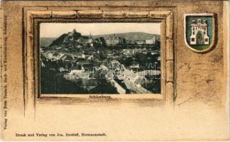 Segesvár, Schässburg, Sighisoara; látkép. Szecessziós címeres litho keret / general view (r)