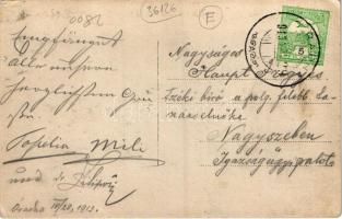 1913 Óradna, Alt-Rodna, Radna veche, Rodna; látkép / general view. photo (lyuk / pinhole)