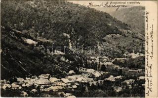 1911 Ruszkabánya, Rusca Montana; látkép, nyaralóhely. Fuchs fényképei után / general view (EK)