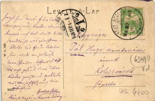 1908 Boksánbánya, Németbogsán, Deutsch-Bogsan, Bocsa Montana; látkép. W.L. 1133. / Totalansicht / ge...