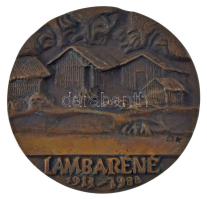 Ócsai Károly (1938-2011) DN "Dr. Albert Schweitzer / Lambaréné 1913-1988" kétoldalas, öntö...