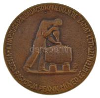 Pátzay Pál (1896-1979) 1933. "Egry József" kétoldalas öntött bronz emlékérem "EGRY JÓ...