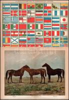 cca 1895-1900 20 db dupla oldalas színes illusztráció (ékítmények, keramika, tenyészlovak, legfontos...