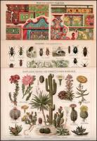 cca 1895-1900 20 db dupla oldalas színes illusztráció (ékítmények, keramika, tenyészlovak, legfontos...