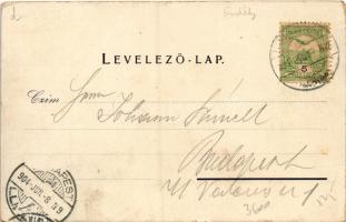 1904 Marilla, Marillavölgy, Marila; Mária lak. Gross Gyula kiadása / spa, villa (EB)