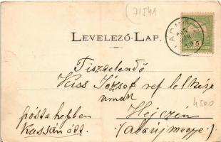 1905 Lugos, Lugoj; M. kir. pénzügyigazgatóság télen. Nemes Kálmán kiadása / financial directorate in...