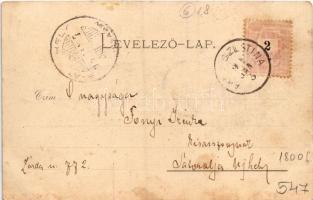 1899 (Vorläufer) Máramarossziget, Sighetu Marmatiei; Vármegyeháza, Kir. Törvényszék és Takarékpénztá...