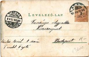 1899 (Vorläufer) Arad, Városliget este. Bloch H. kiadása / park at night (kopott sarkak / worn corne...