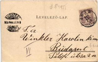 1900 Arad, Baross parki kioszk / park, restaurant (EK)