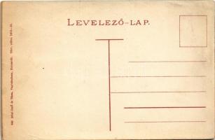 Kolozsvár, Cluj; régi bástya, Voith Tivadar és Streck József üzlete. Stief Jenő kiadása / old bastio...