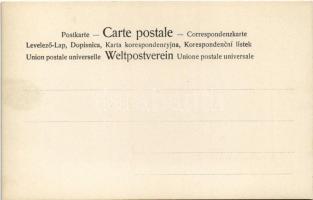 Századforduló előtti erotikus meztelen hölgy / Pre-1900 erotic nude lady