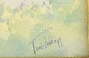 Turi-Jobbágy Miklós (1882-?): Budapesti panoráma a régi Erzsébet-híddal. Akvarell, papír, jelzett, ü...