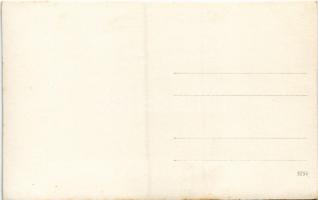 Budakalász, gyár a háttérben. photo