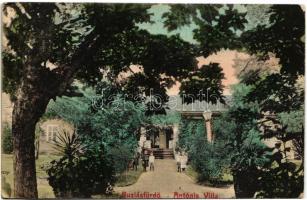 1910 Buziásfürdő, Baile Buzias; Antónia Villa. Franc József kiadása (szakadás / tear)