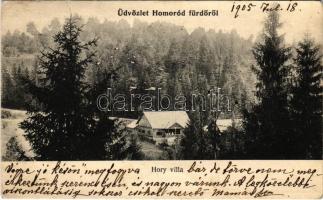 1905 Homoródfürdő, Homoród-fürdő, Baile Homorod; Hory Villa (EK)
